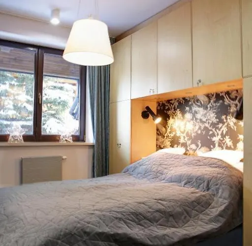 Zakoantracyt Zakopane