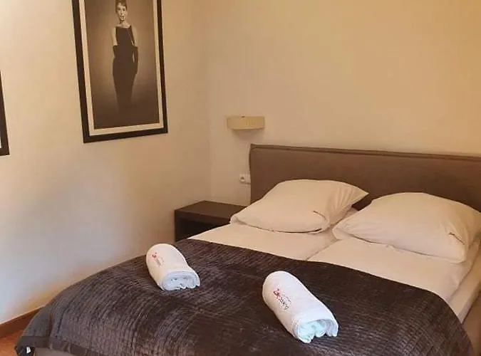 Zakoantracyt Appartement